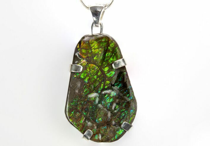 Brilliant Ammolite Pendant (Necklace) - Alberta, Canada #315397